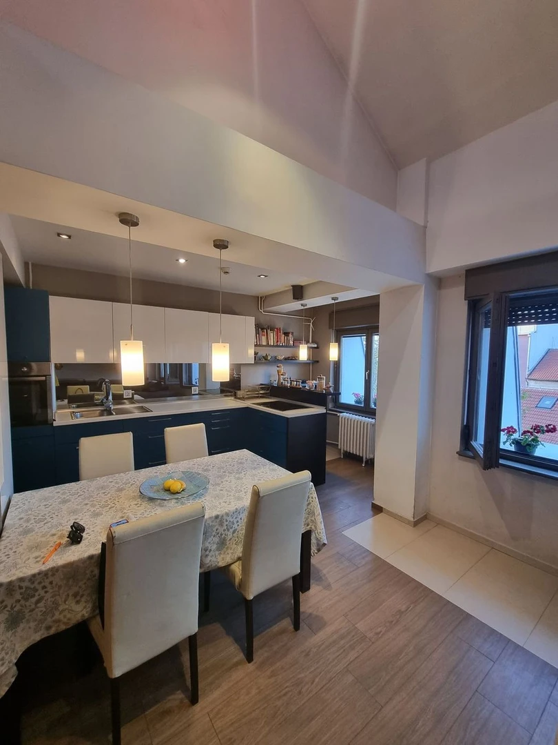 stan na prodaju Novi Sad 143m2 499872