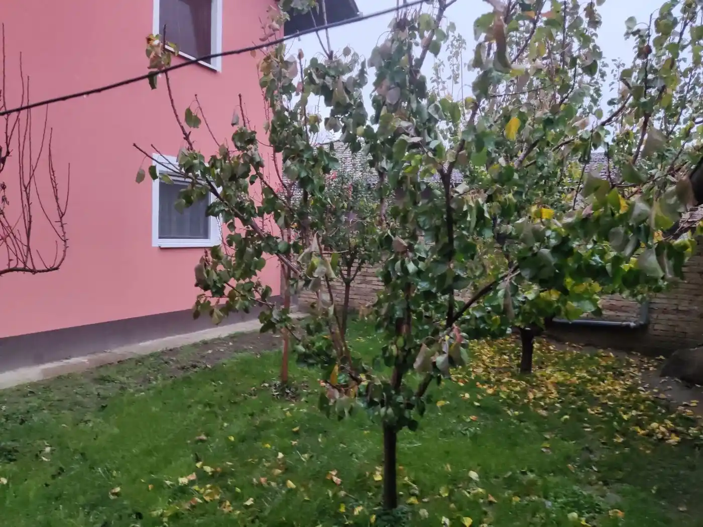 kuca na prodaju Begeč 178m2 500434
