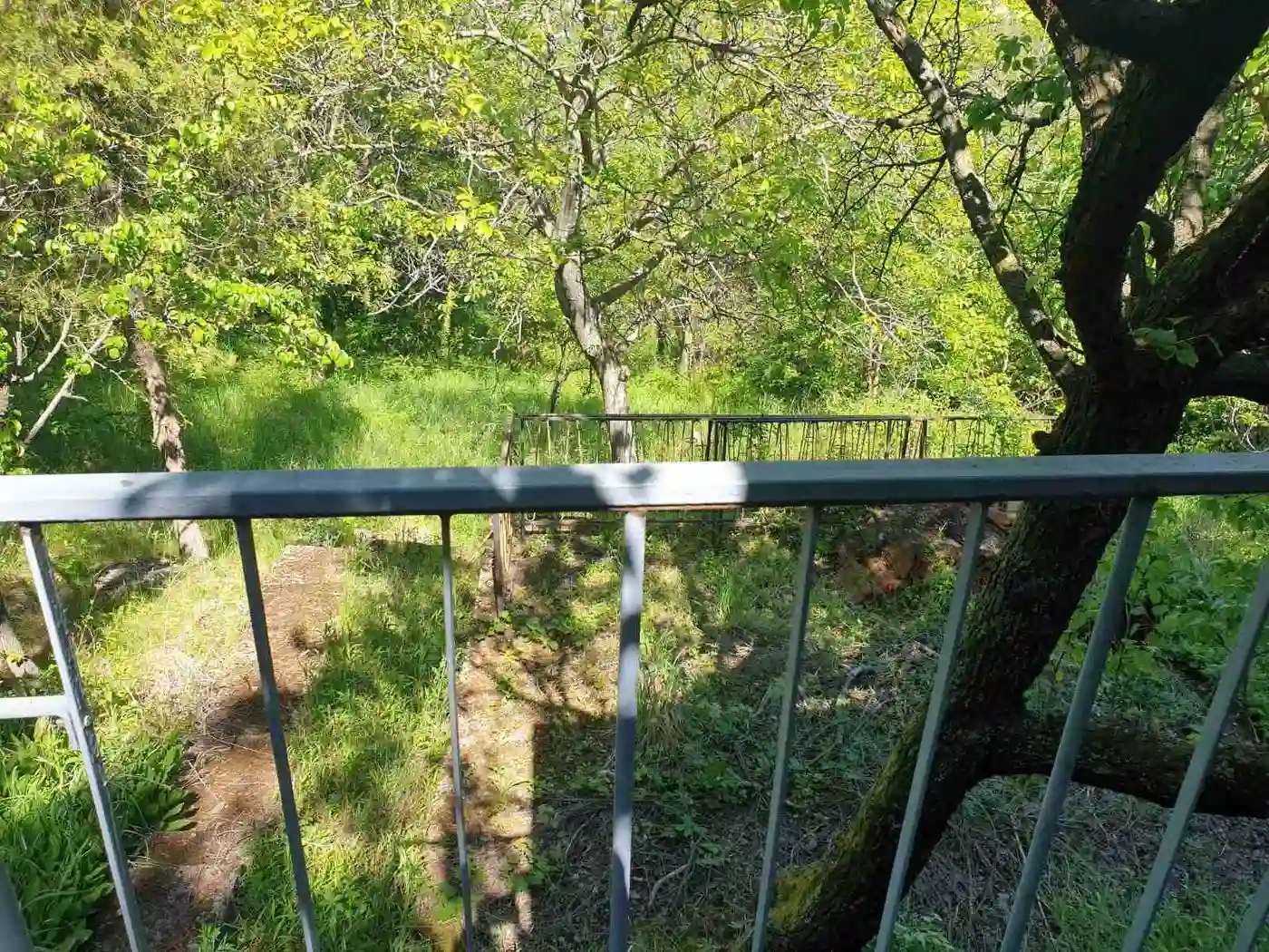 kuca na prodaju Sremska Kamenica 39m2 501304