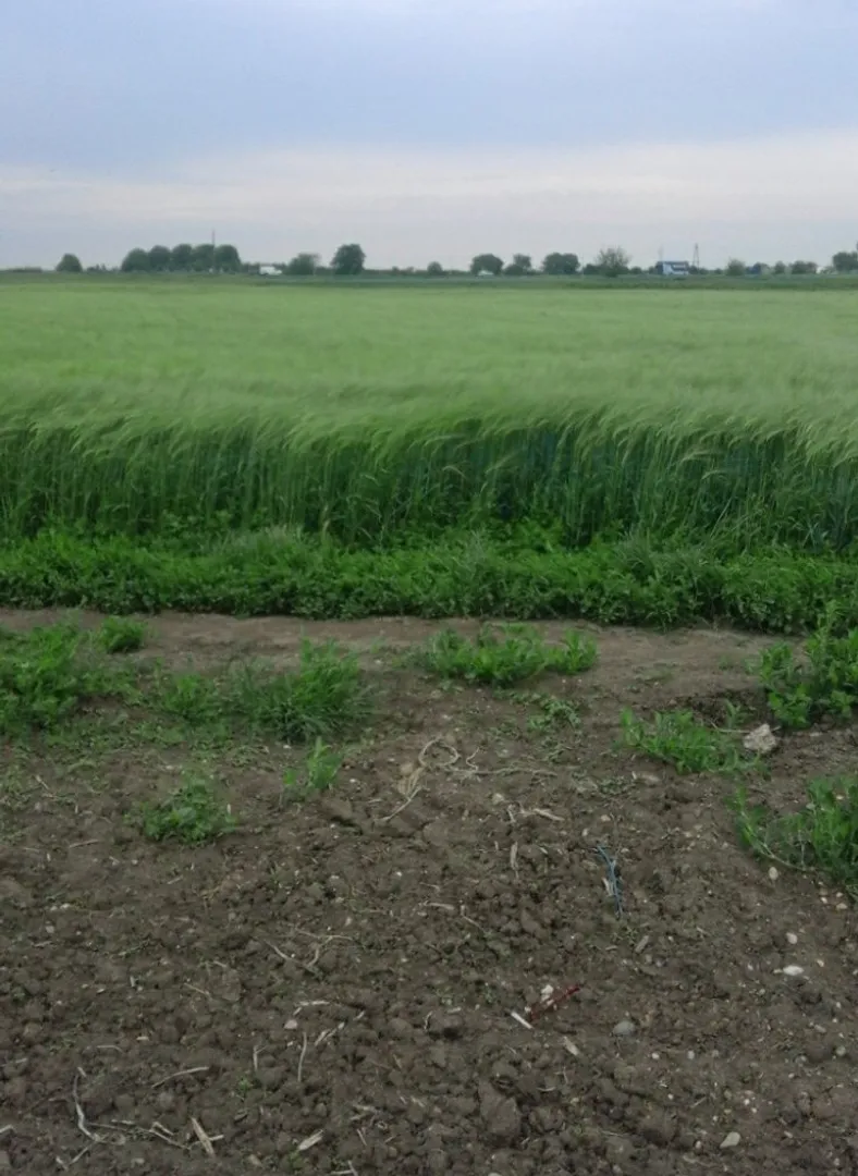 plac na prodaju Ruma 3194m2 501191