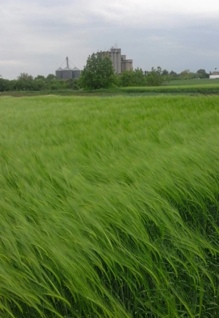 plac na prodaju Ruma, 3194m2 501191