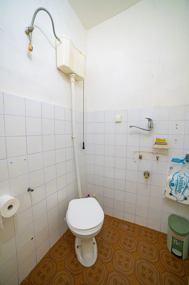 Kuća na prodaju Čelarevo 167m2, 536865