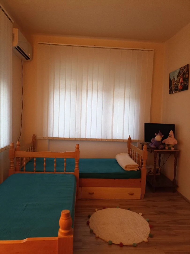 Kuća na prodaju Elemir 241m2, 498594