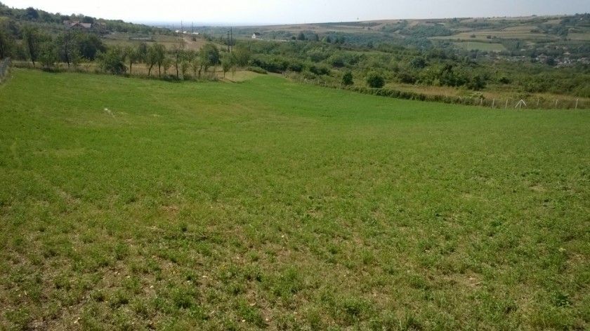 plac na prodaju Vrdnik, 8233m2 503625