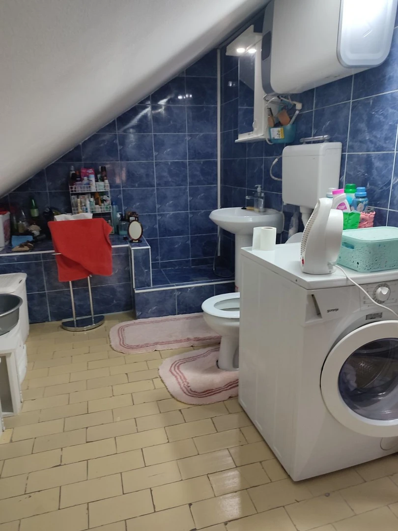 stan na prodaju Novi Sad 42m2 503925