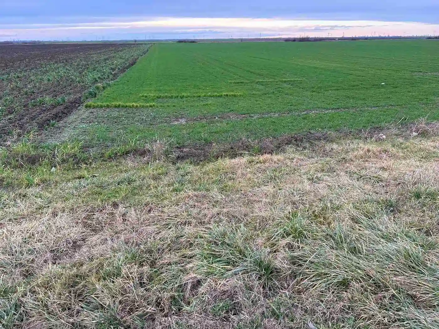 plac na prodaju Kać 1595m2 497786
