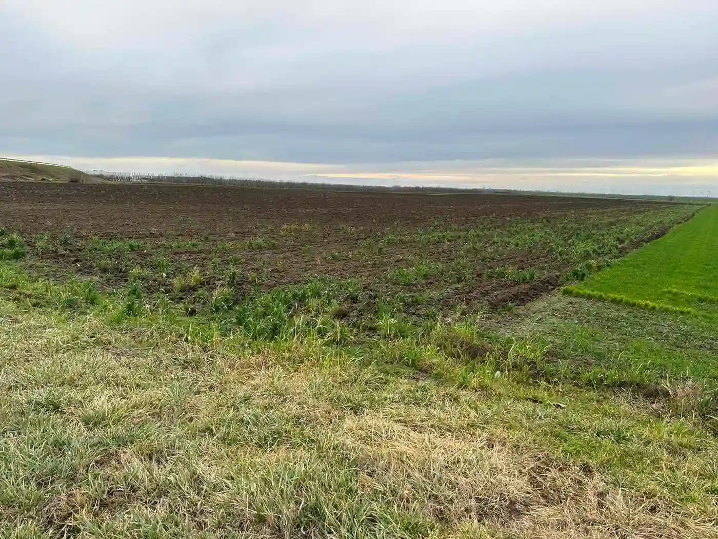plac na prodaju Kać 1595m2 497786