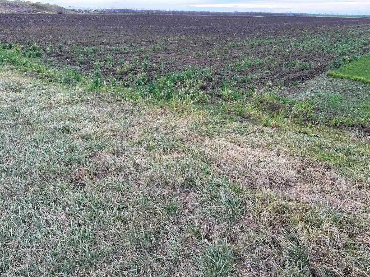 plac na prodaju Kać 1595m2 497786