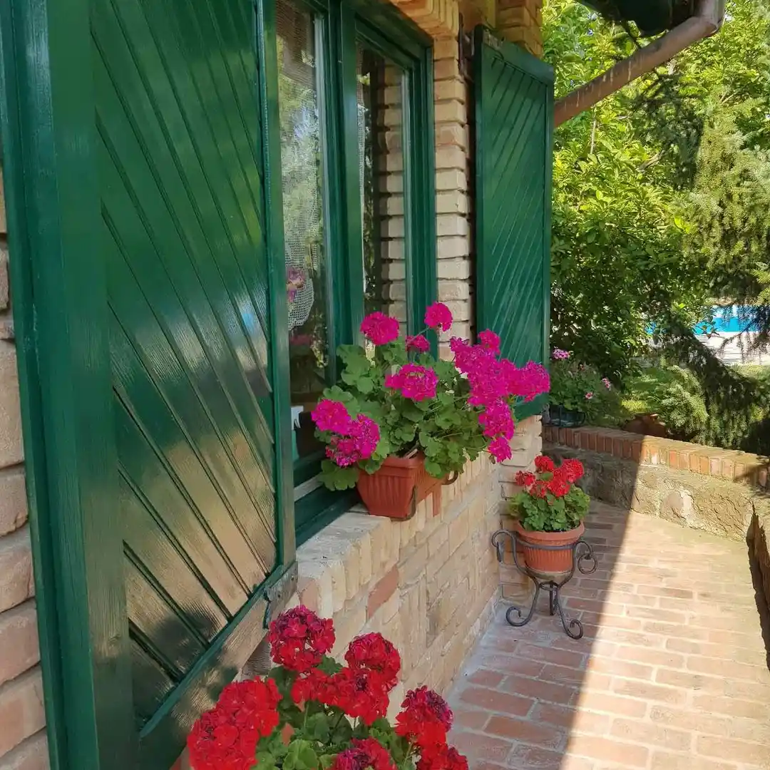 kuca na prodaju Sremska Kamenica 202m2 505035