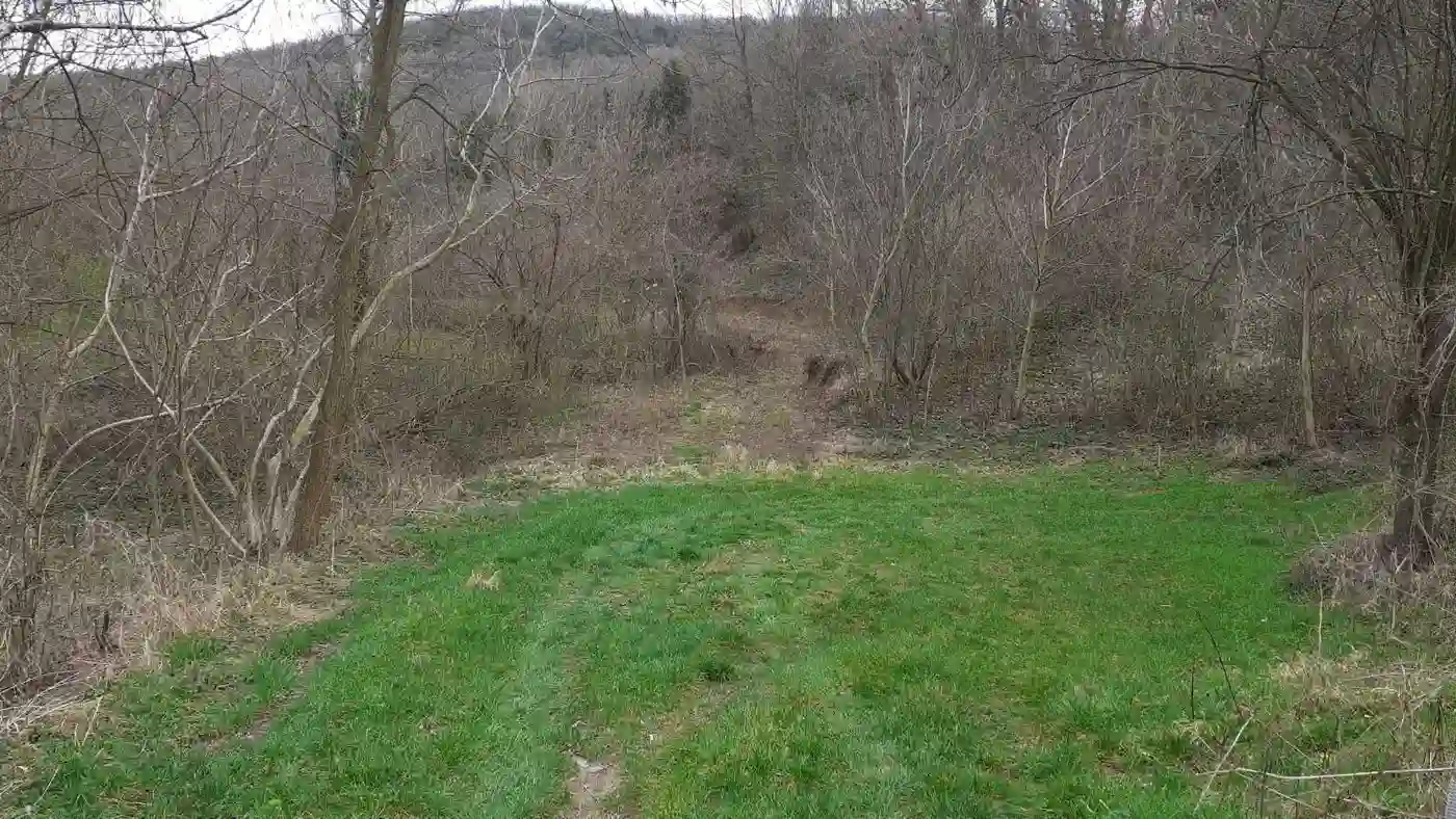 plac na prodaju Beočin, 1163m2 507538