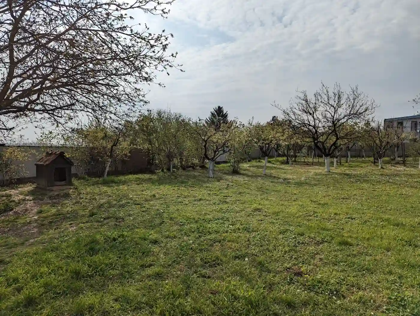 kuca na prodaju Petrovaradin 134m2 508430