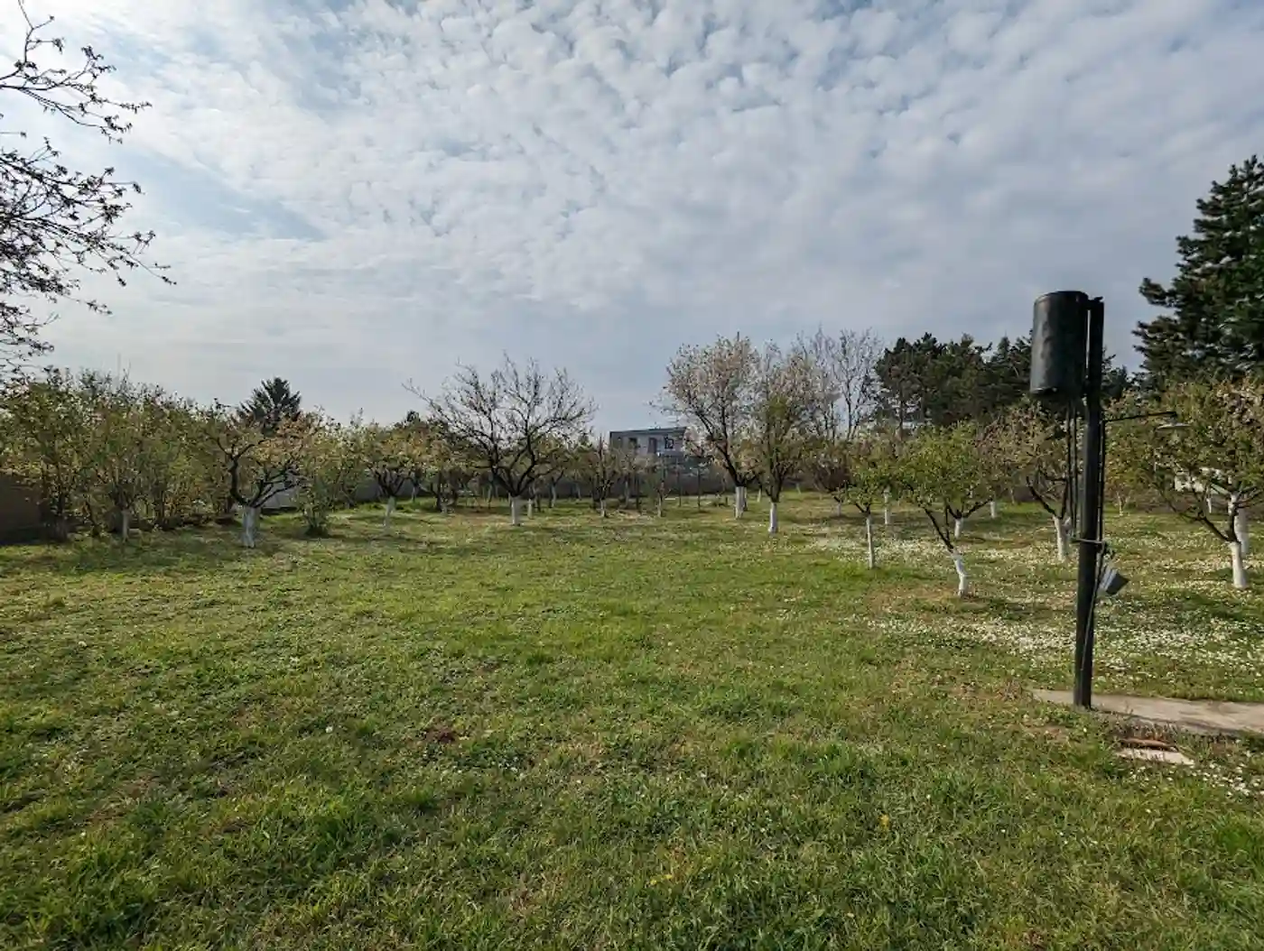 kuca na prodaju Petrovaradin 134m2 508430