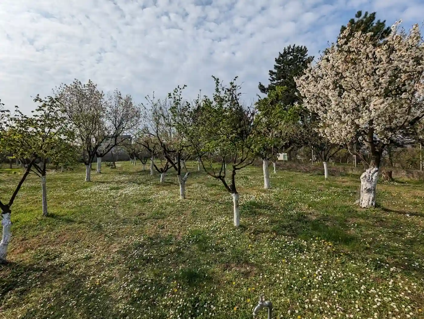 kuca na prodaju Petrovaradin 134m2 508430