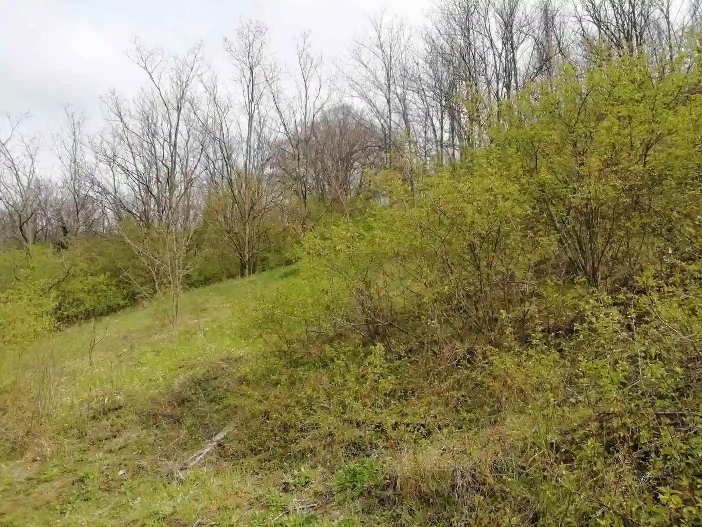 plac na prodaju Rakovac, 1501m2 509399