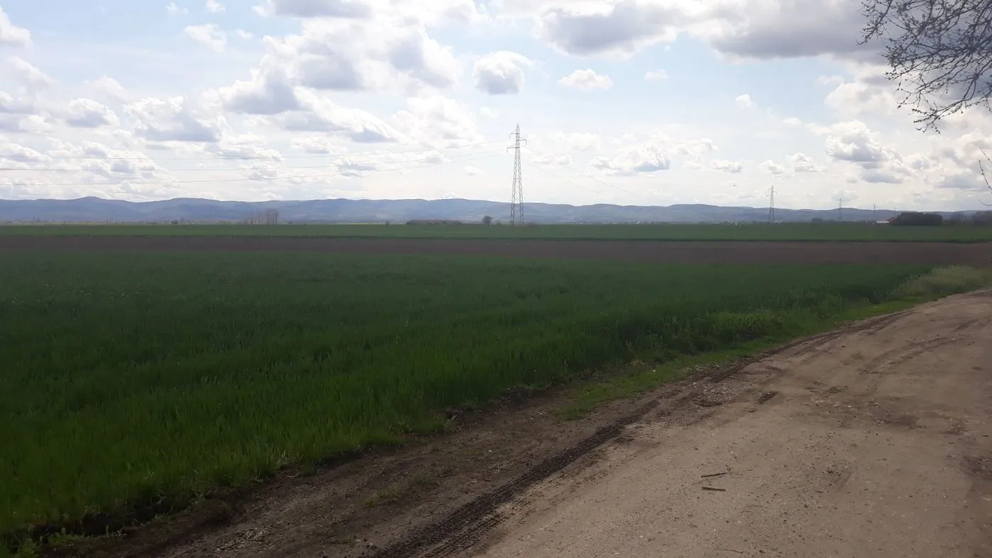 plac na prodaju Rumenka, 3677m2 504753