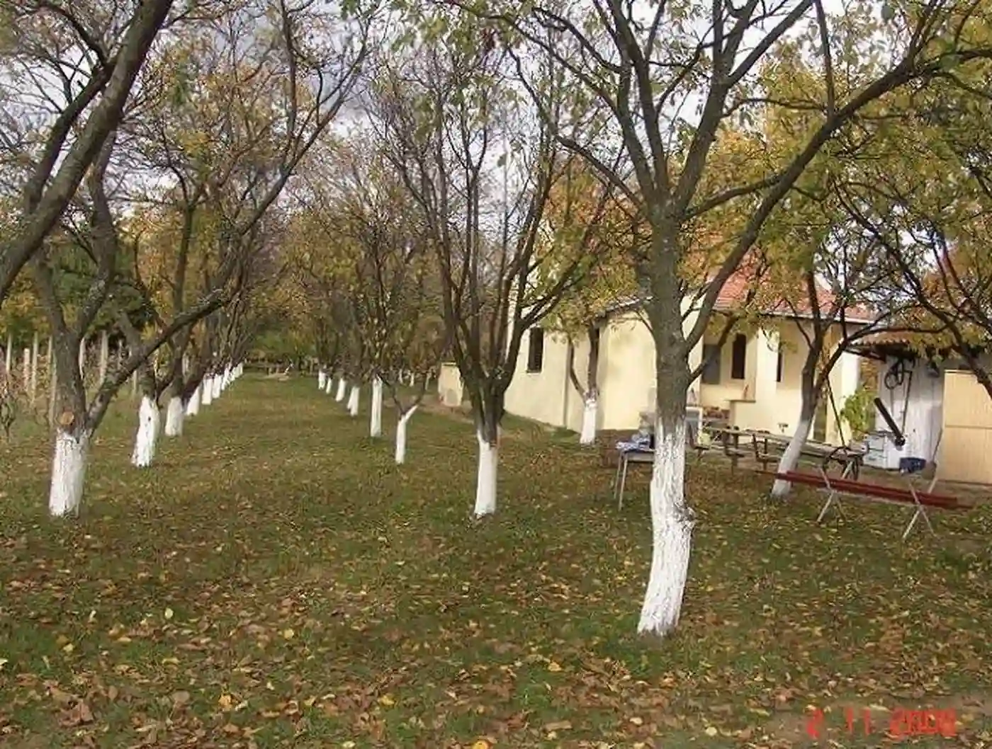 kuca na prodaju Krušedol 42m2 505984