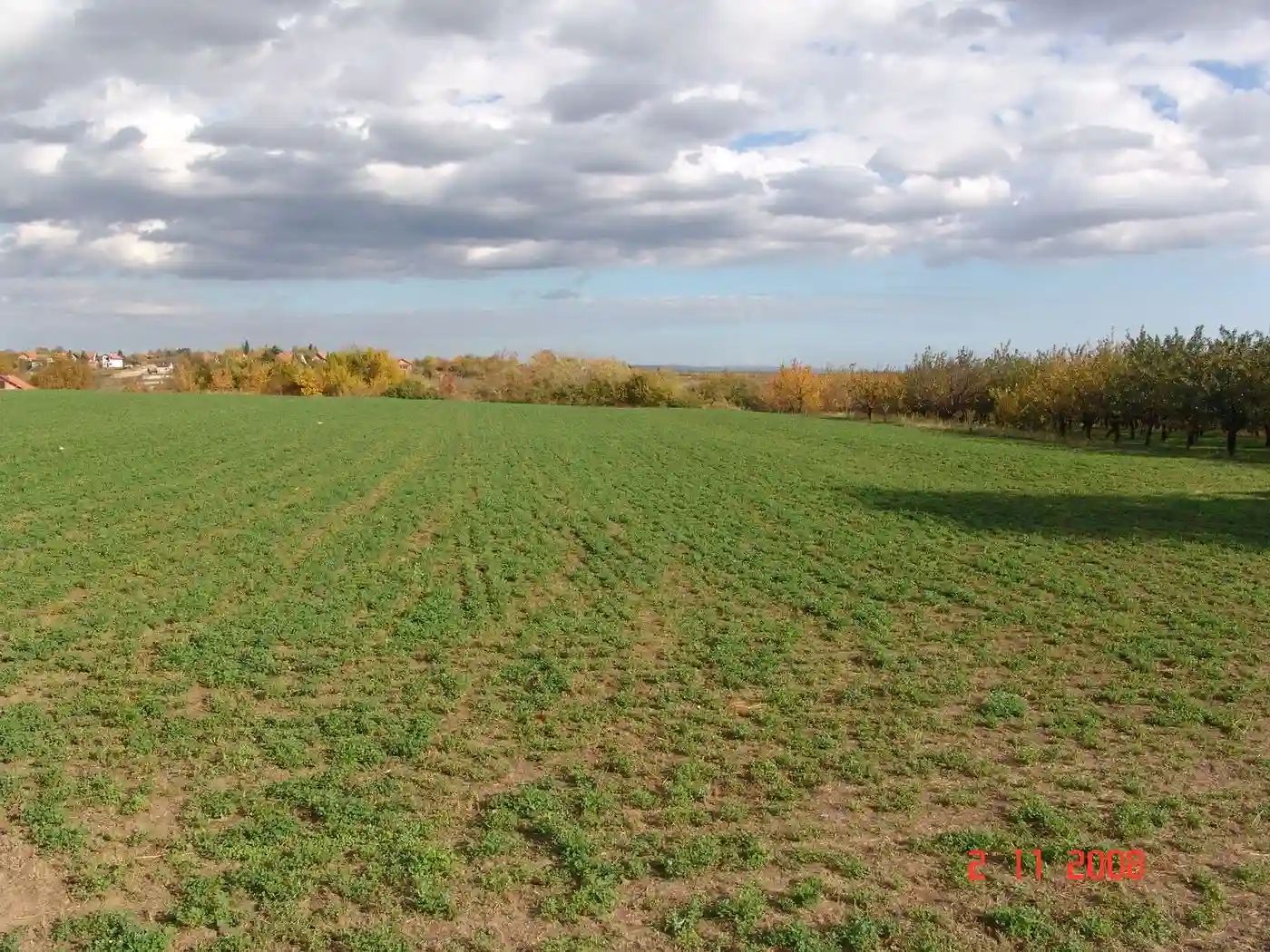 kuca na prodaju Krušedol 42m2 505984