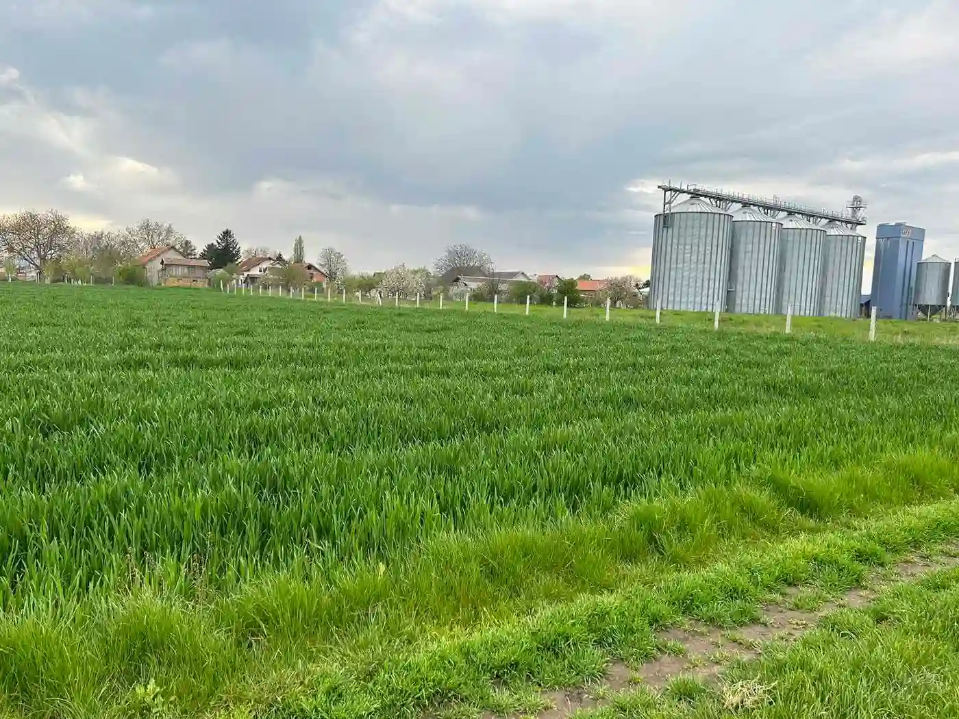 plac na prodaju Kovilj, 8679m2 390788