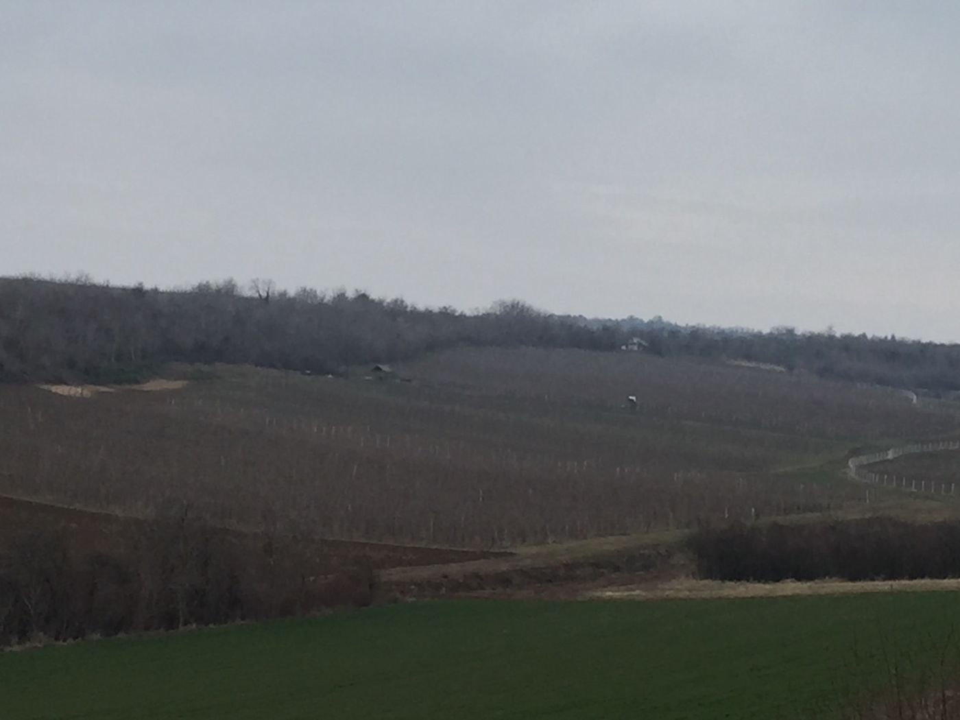 plac na prodaju Vrdnik 106984m2 510595
