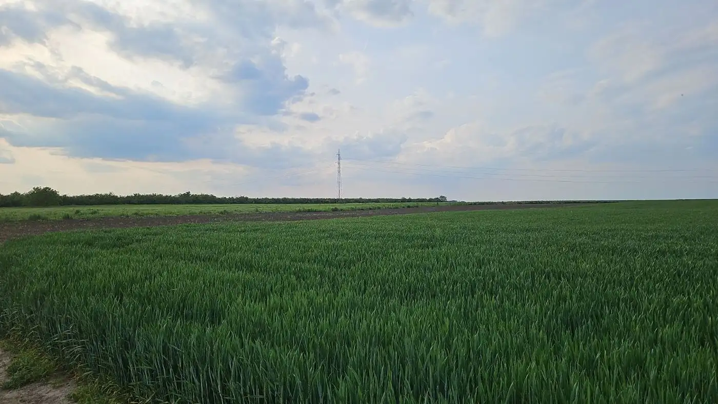 plac na prodaju Futog, 11508m2 510109