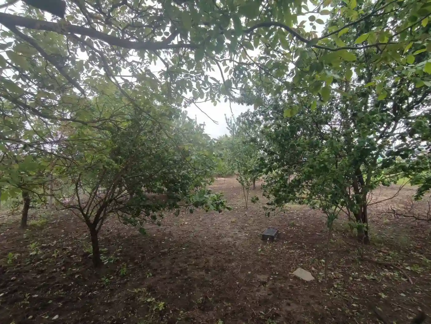 kuca na prodaju Novi Sad 73m2 511200