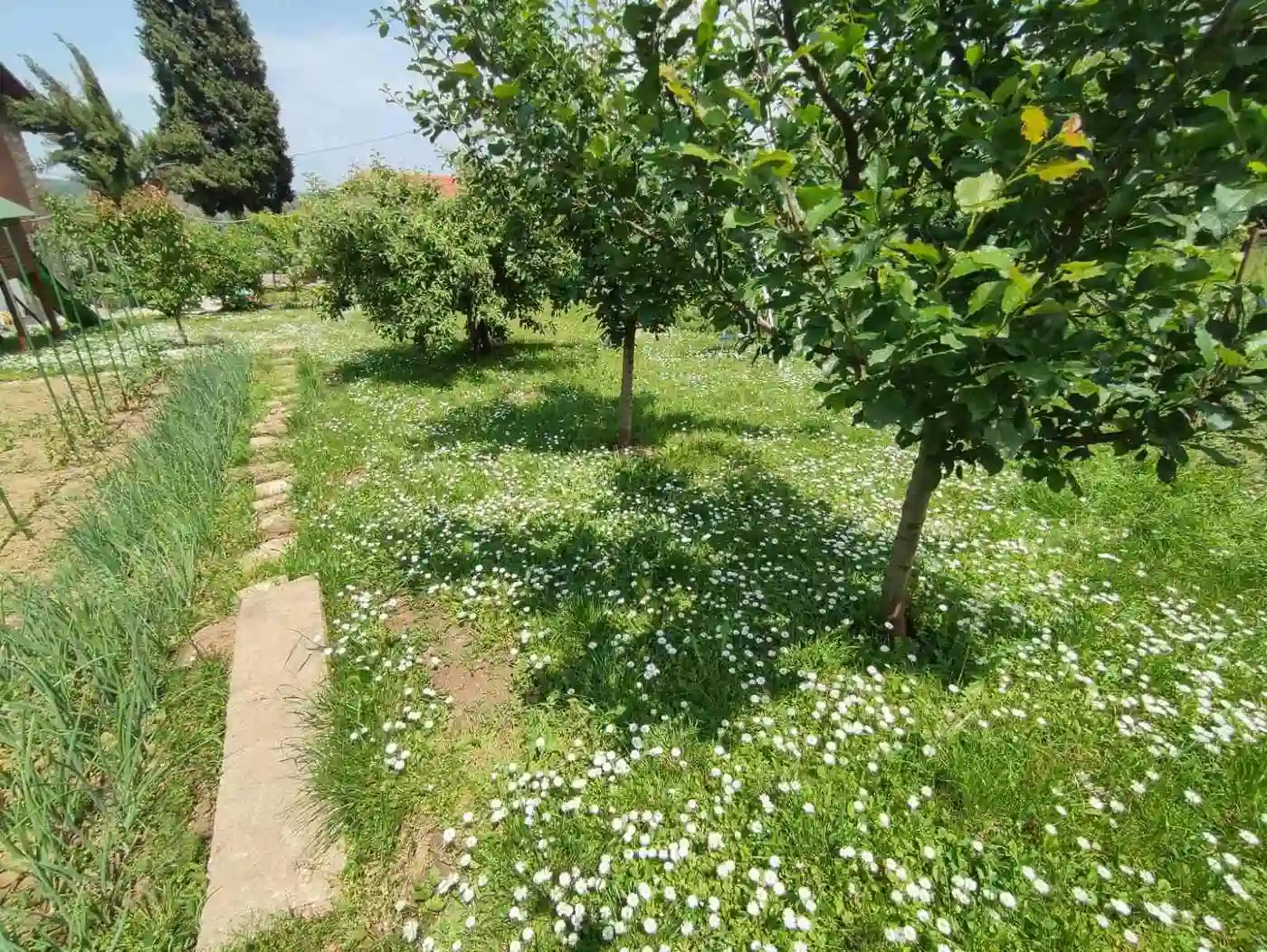 kuca na prodaju Banoštor 60m2 511629