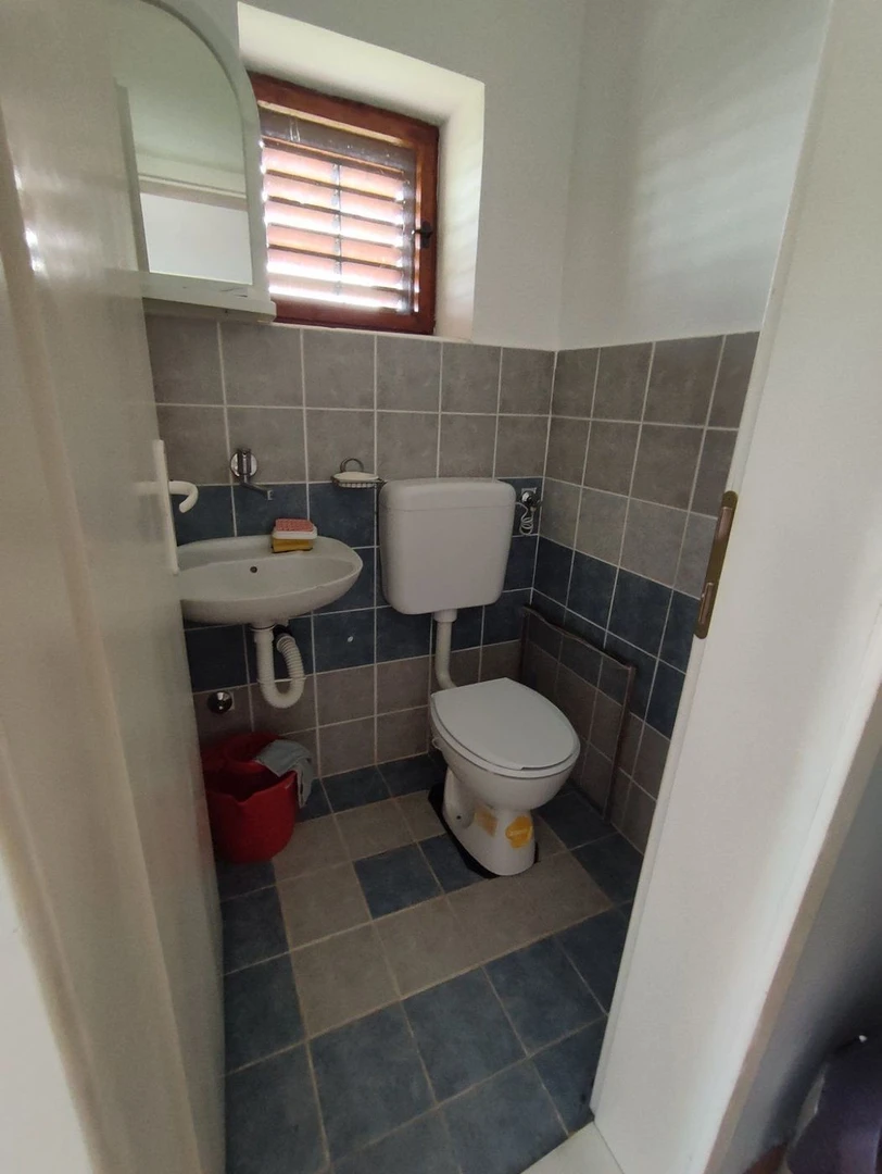 kuca na prodaju Banoštor 60m2 511629