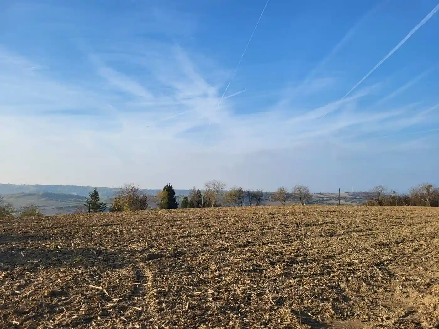 plac na prodaju Sremski Karlovci, 1507m2 511683