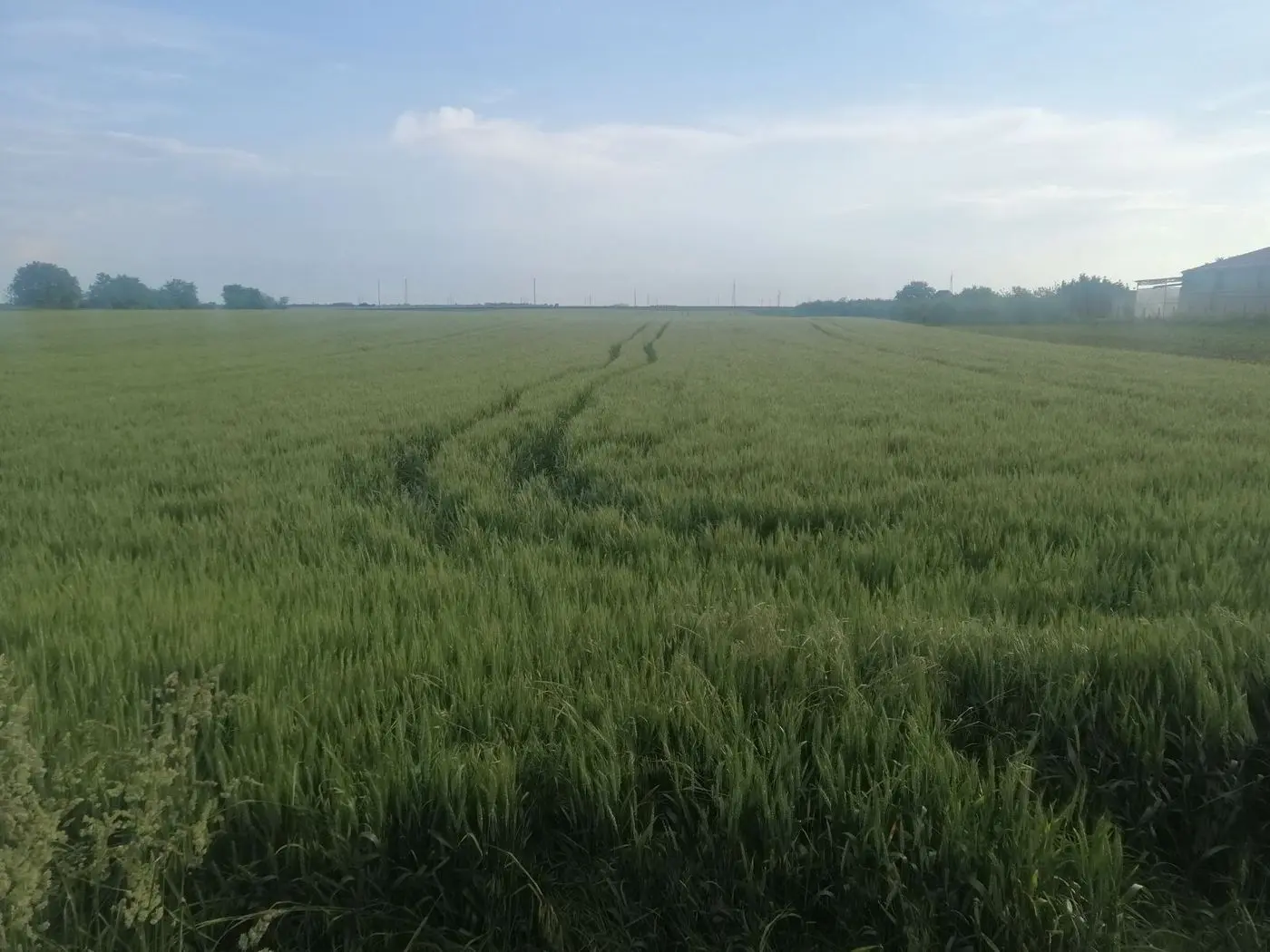 plac na prodaju Inđija, 22167m2 511743