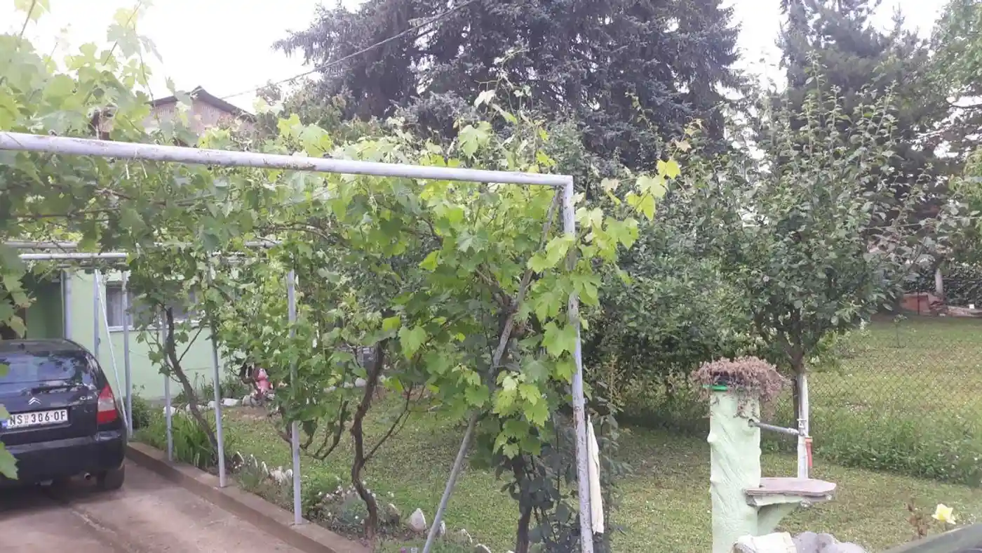 kuca na prodaju Sremski Karlovci 47m2 511854