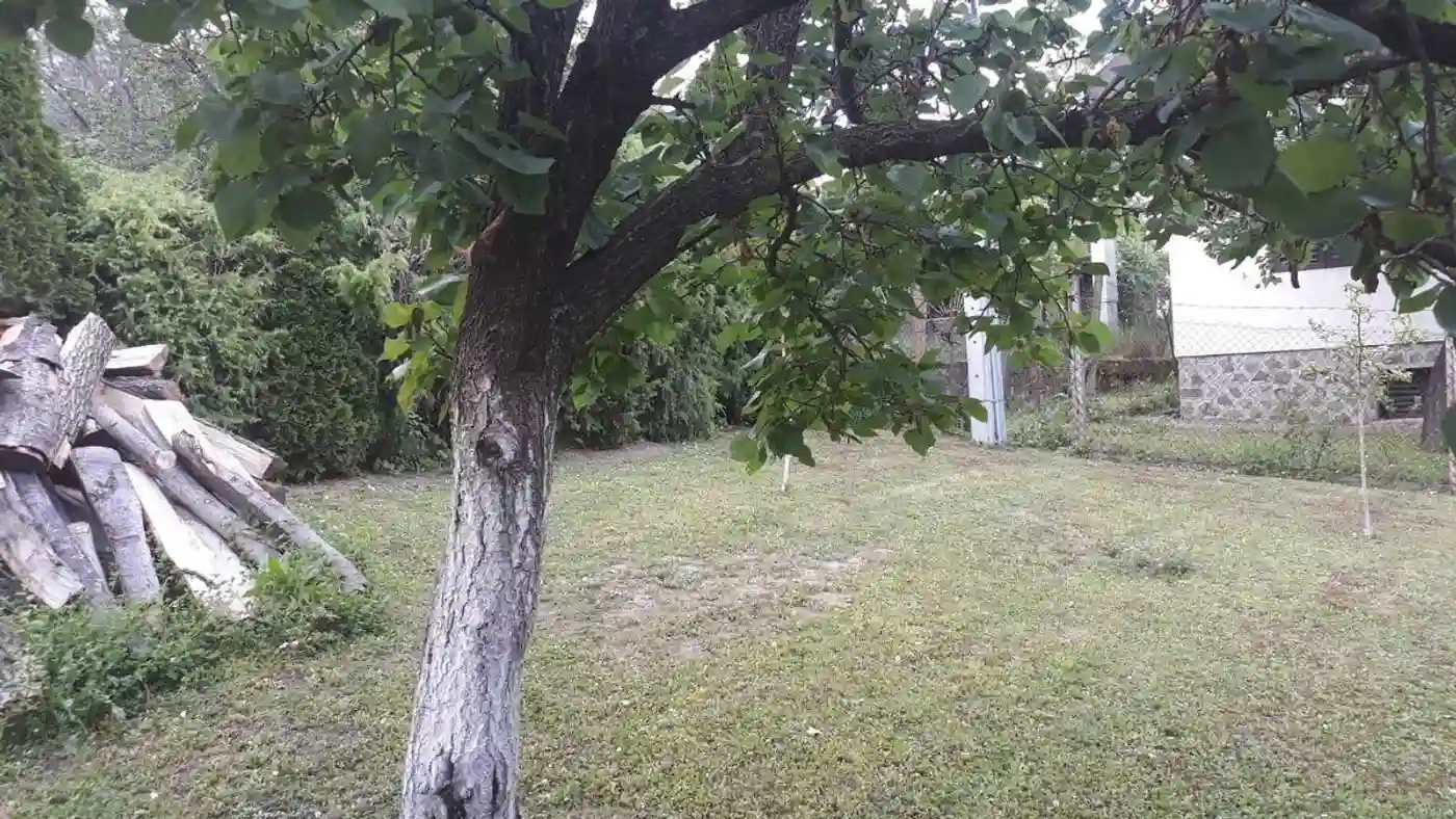 kuca na prodaju Sremski Karlovci 47m2 511854