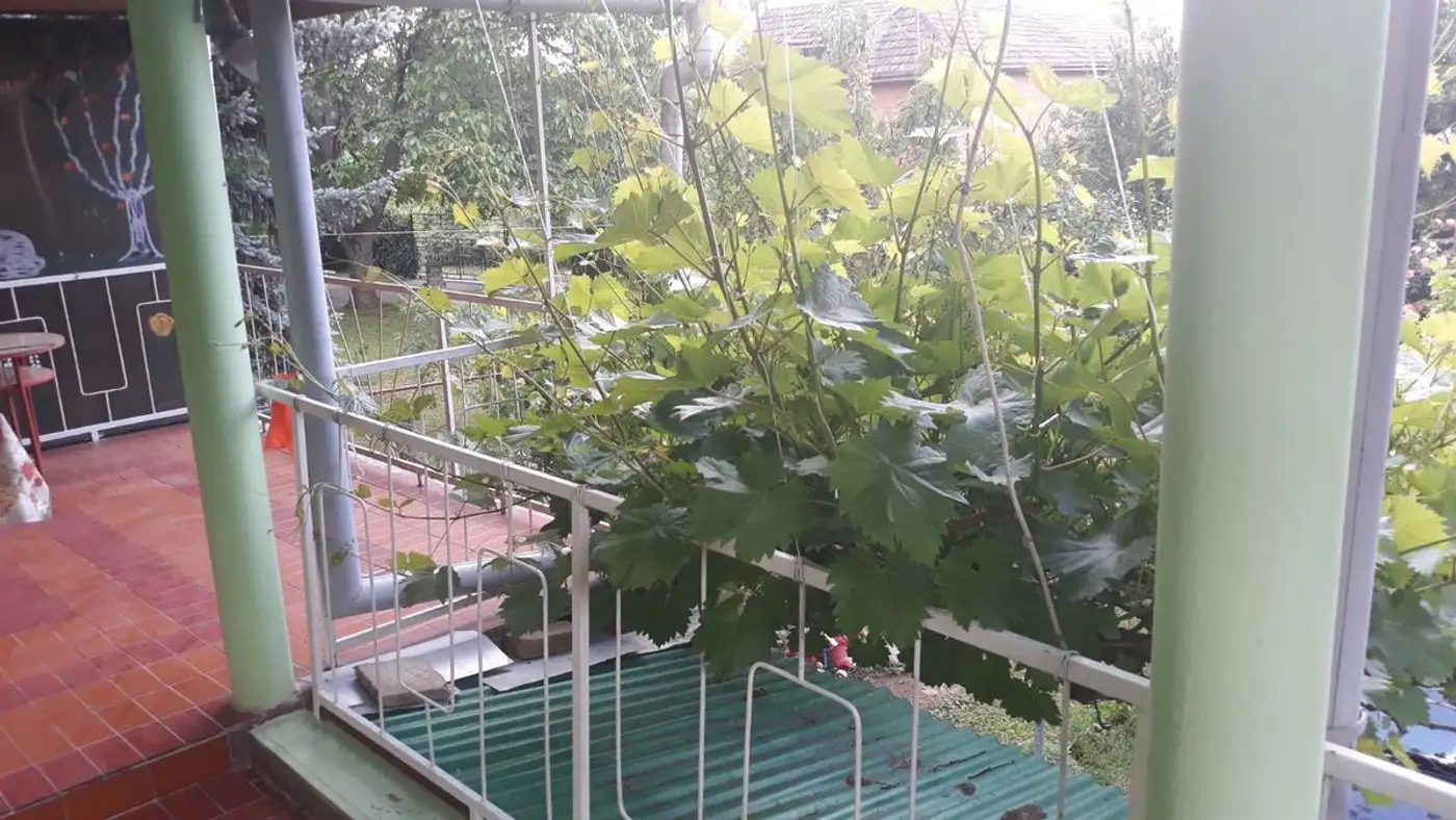 kuca na prodaju Sremski Karlovci 47m2 511854