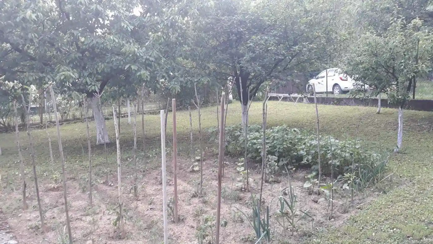 kuca na prodaju Sremski Karlovci 47m2 511854