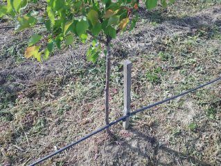 plac na prodaju Bač, 9121m2 511876