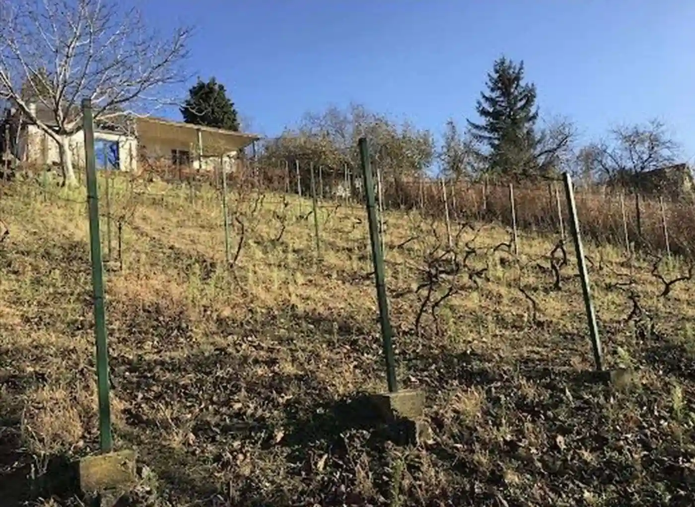 plac na prodaju Sremski Karlovci, 6334m2 511910