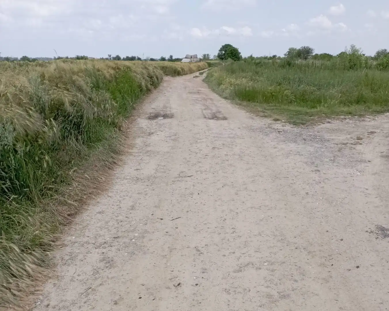 plac na prodaju Futog 647m2 511547