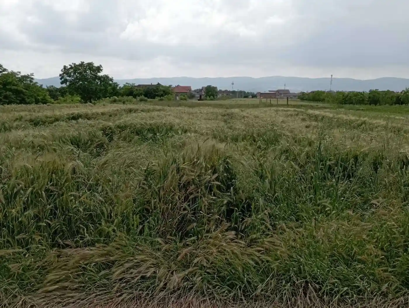 plac na prodaju Futog 647m2 511547