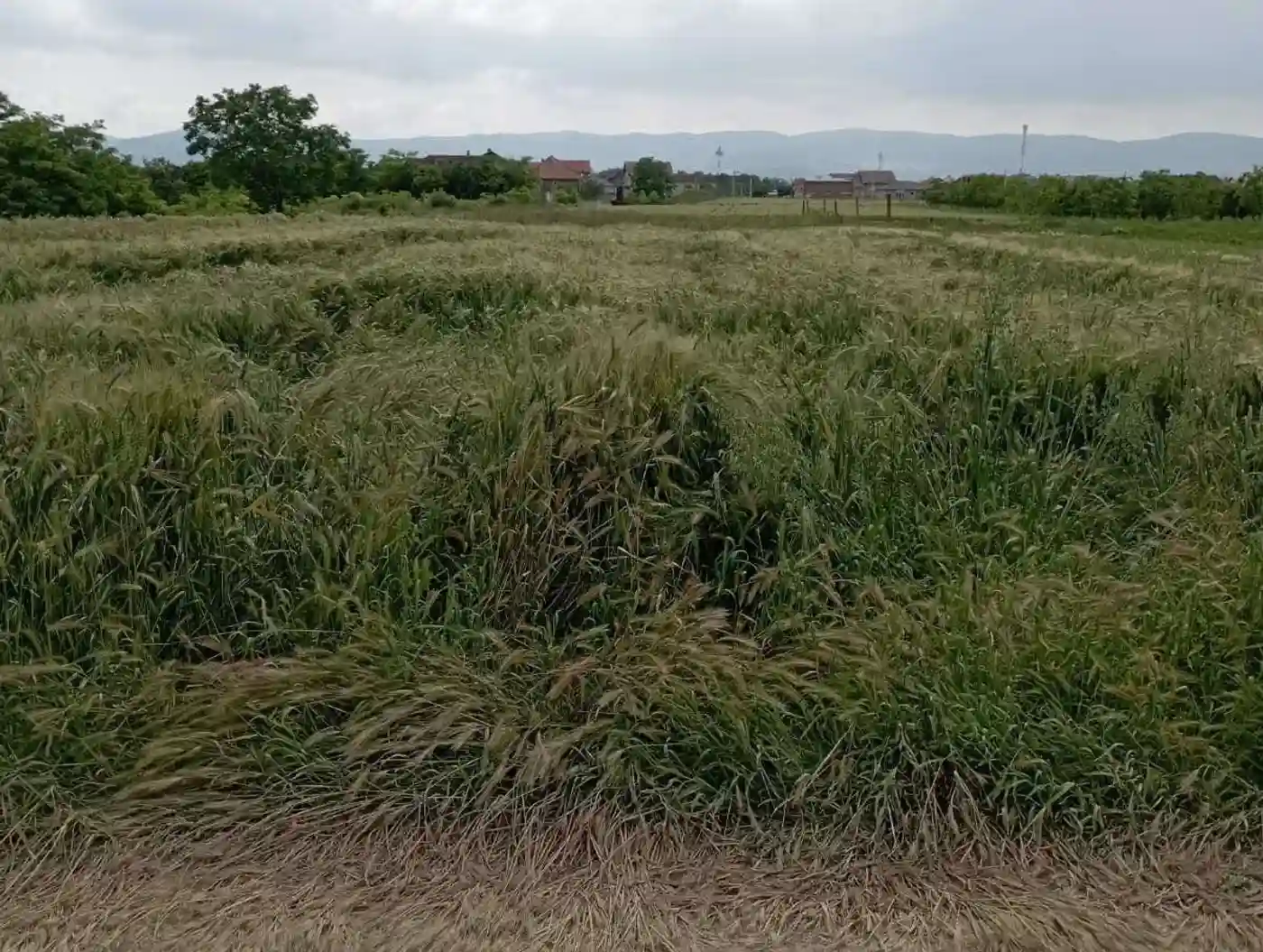 plac na prodaju Futog 647m2 511547