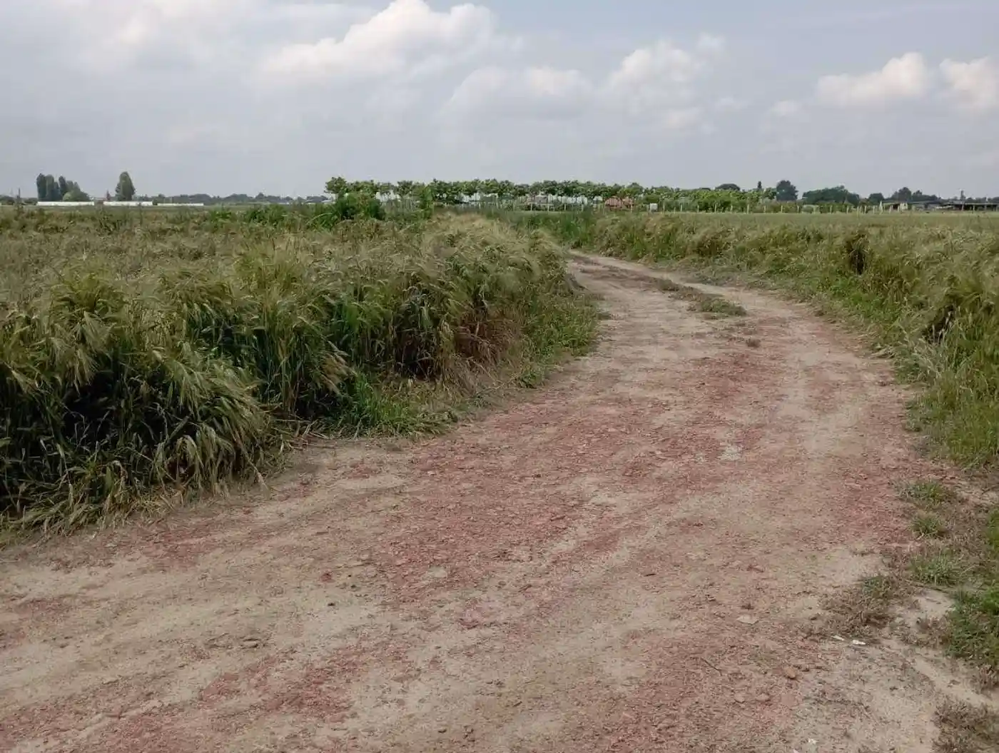 plac na prodaju Futog 647m2 511547