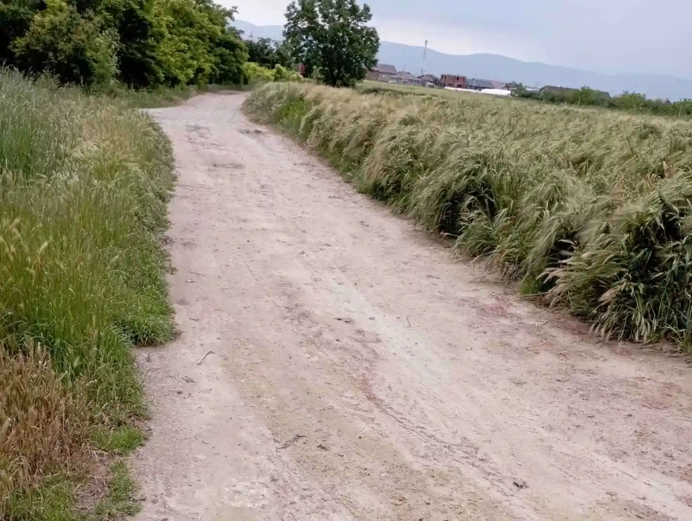 plac na prodaju Futog 647m2 511547