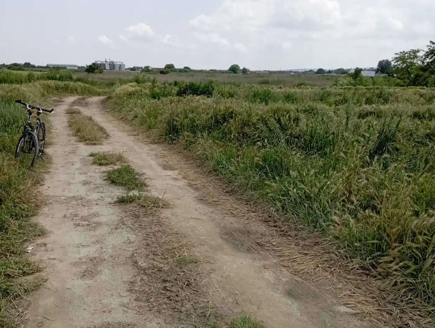 plac na prodaju Futog 647m2 511547