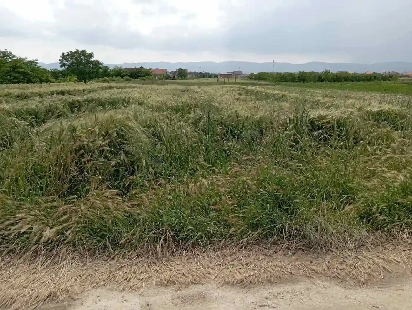 plac na prodaju Futog, 647m2 511547