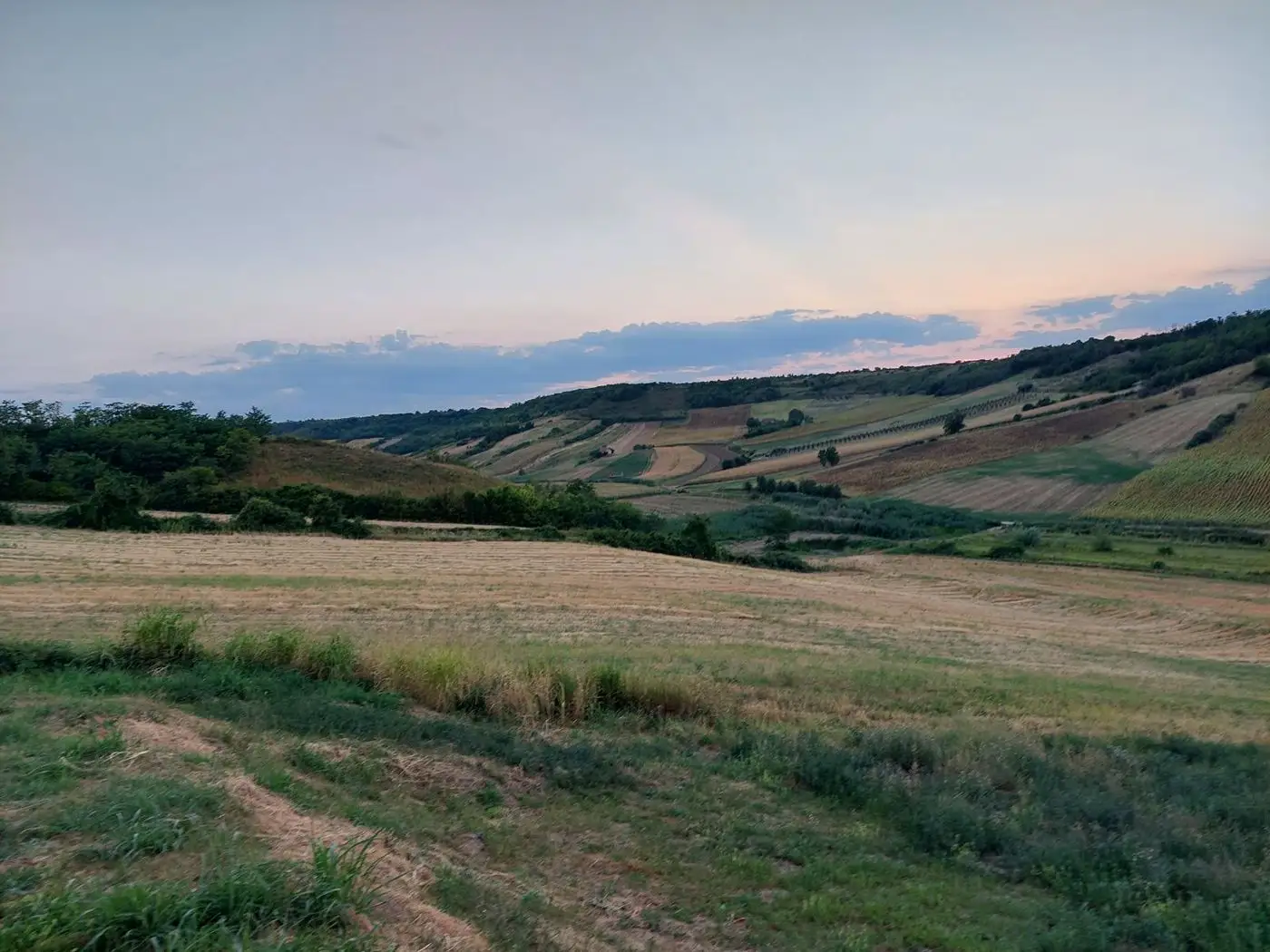 plac na prodaju Bukovac, 2531m2 512813