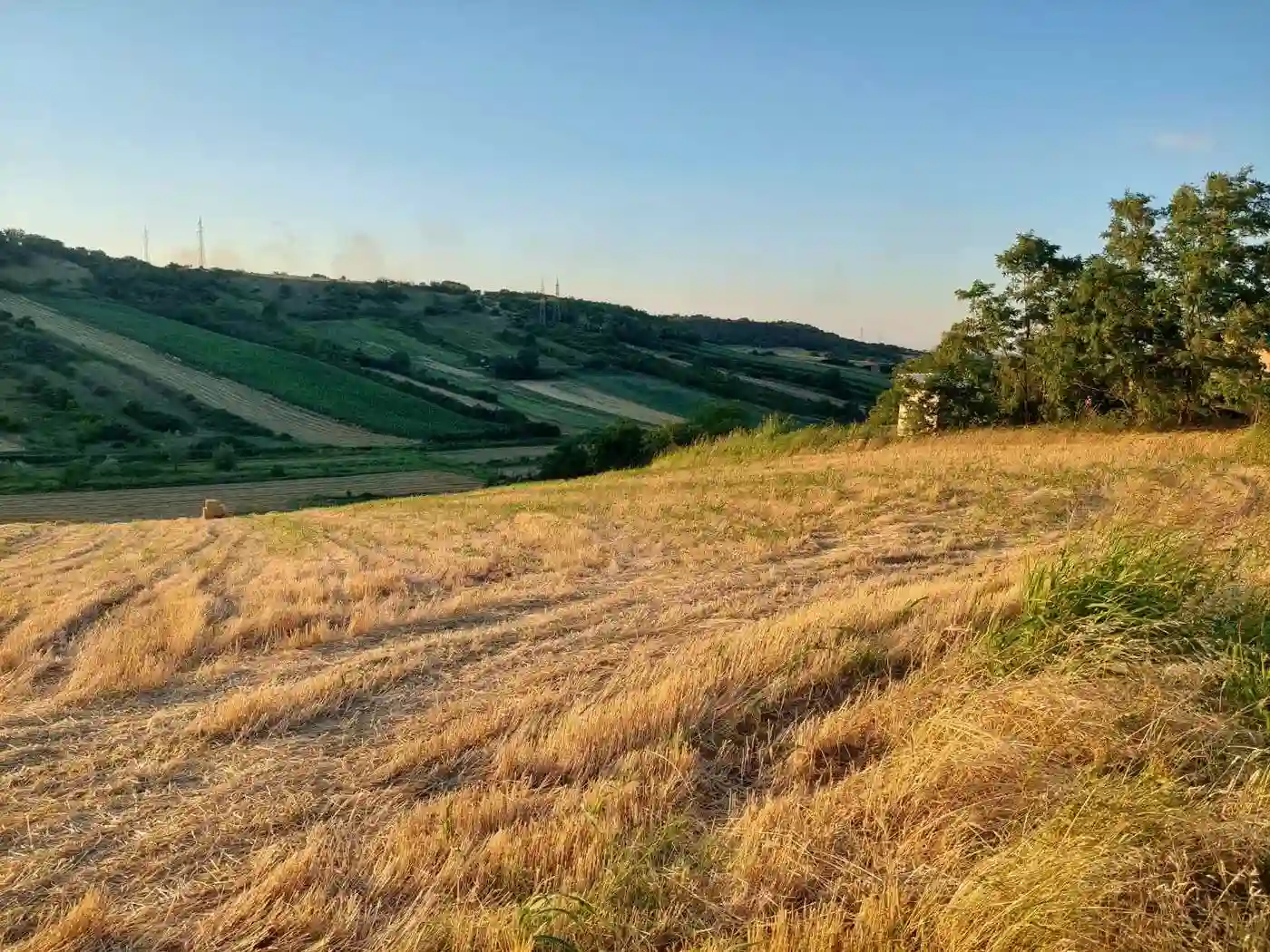 plac na prodaju Bukovac 2531m2 512813