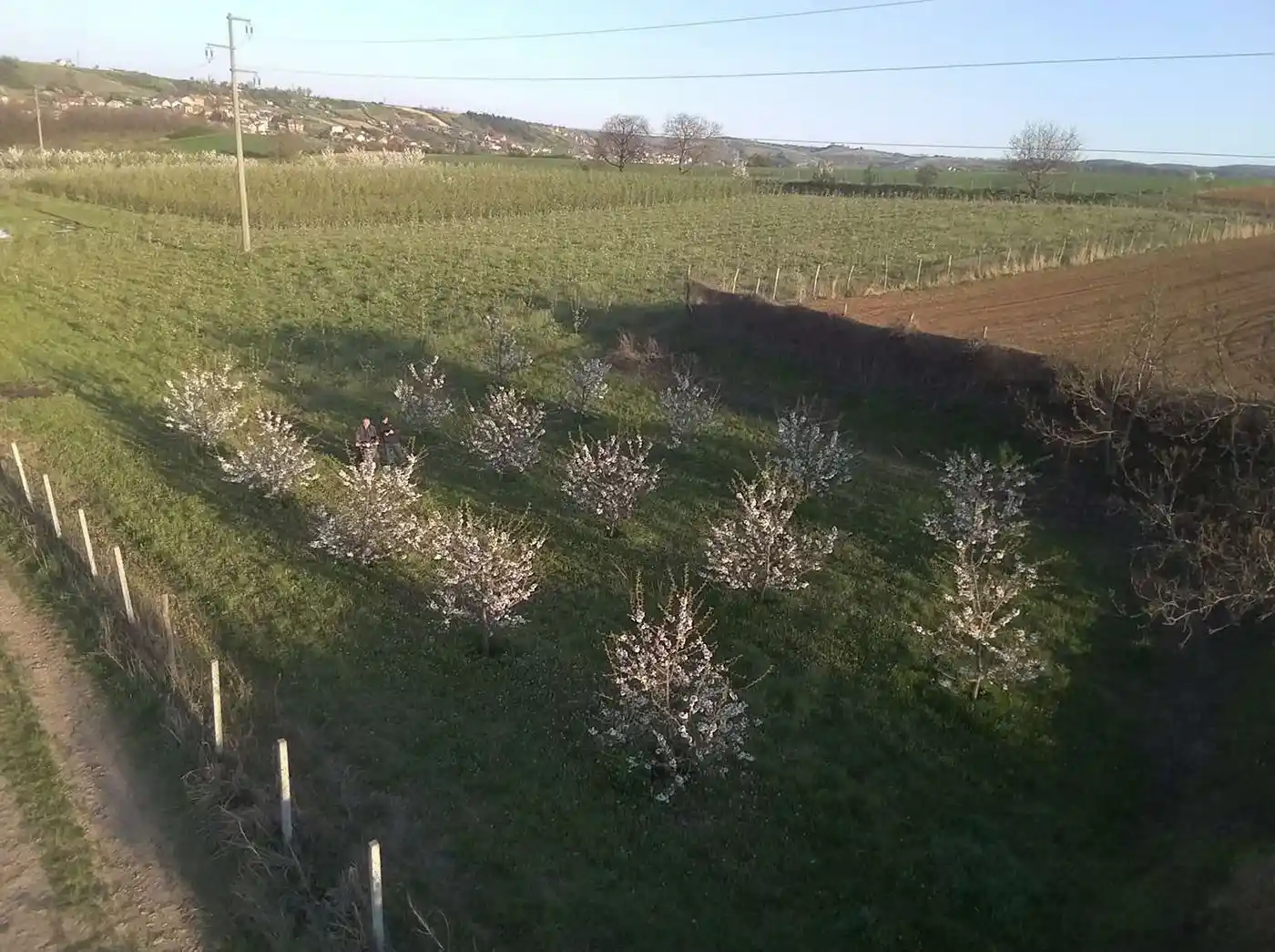 plac na prodaju Petrovaradin 4938m2 513600