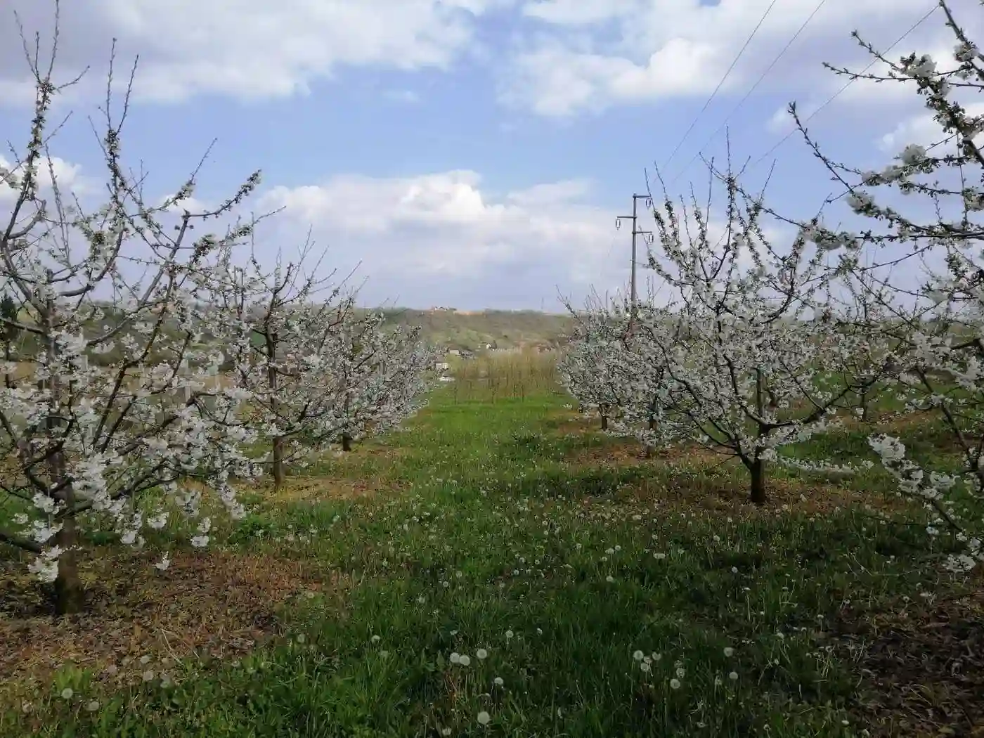 plac na prodaju Petrovaradin 4938m2 513600