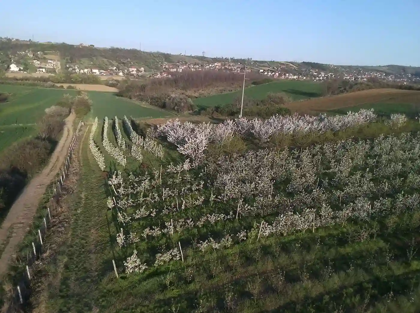 plac na prodaju Petrovaradin 4938m2 513600
