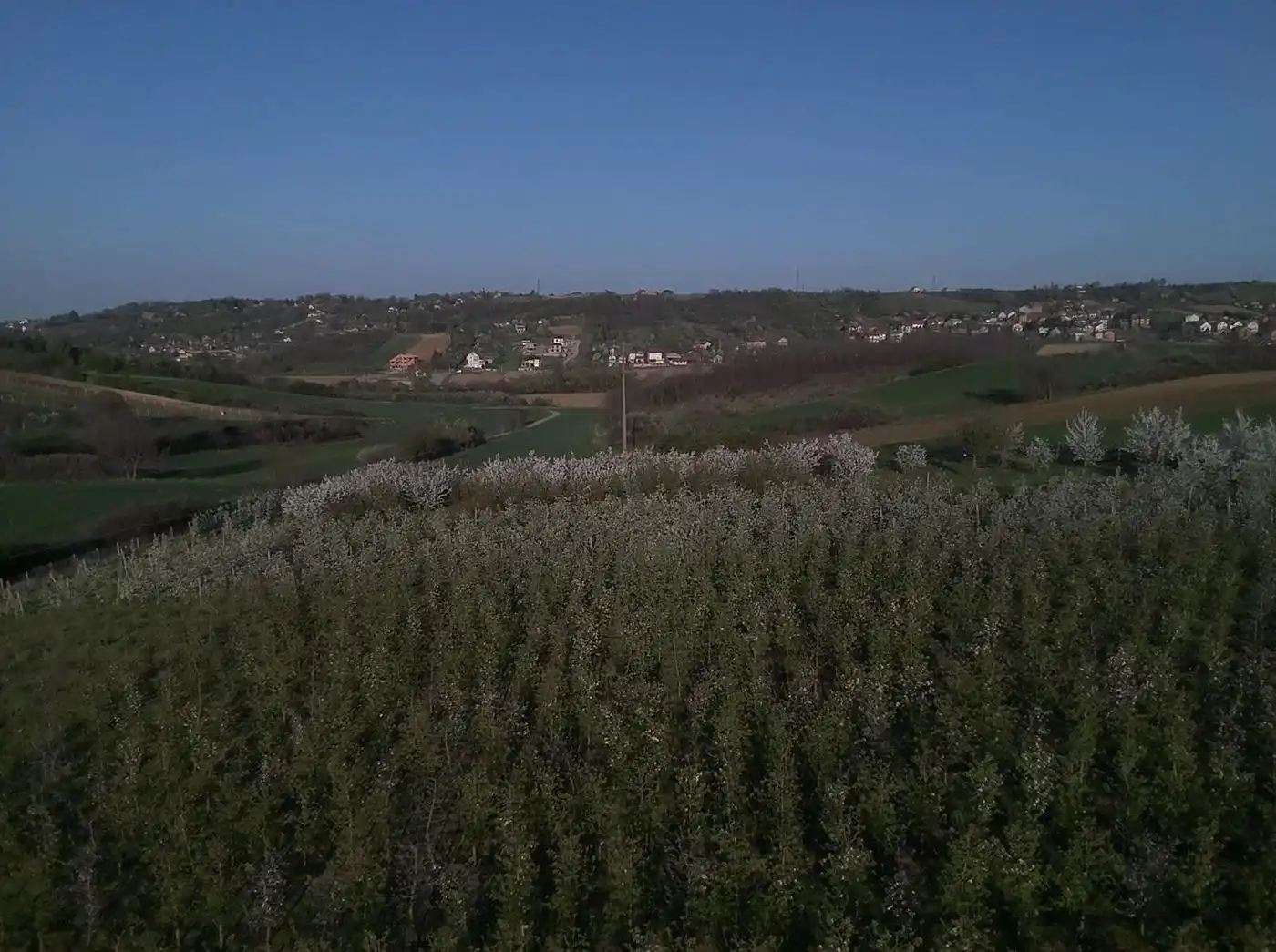 plac na prodaju Petrovaradin 4938m2 513600
