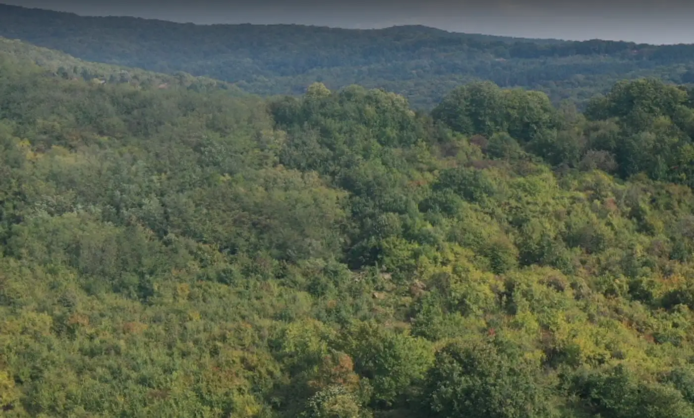 plac na prodaju Vrdnik, 1629m2 513942