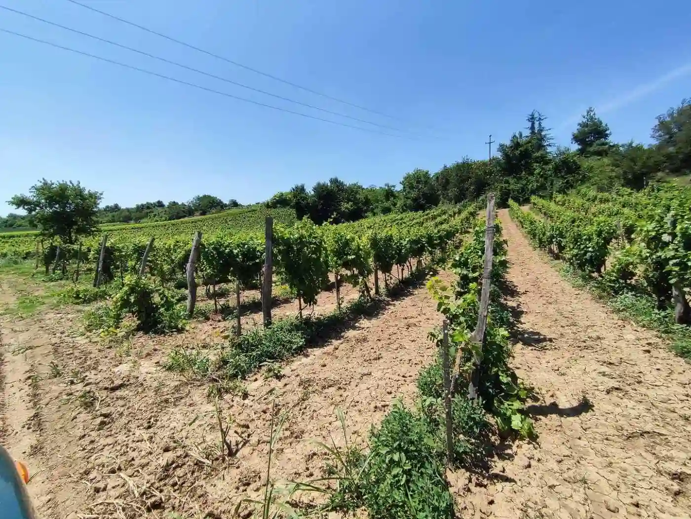 kuca na prodaju Sremski Karlovci 67m2 514141